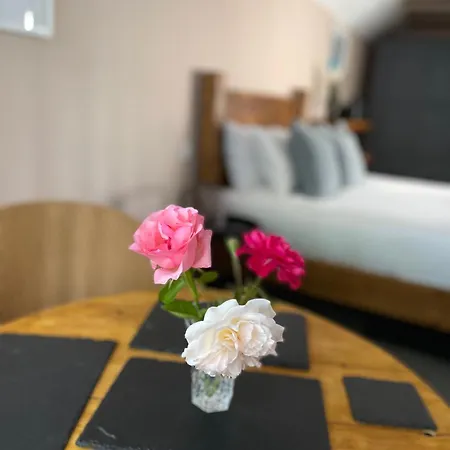 Cosy Boutique Retreat, Courtyard & Free Parking * Bristol